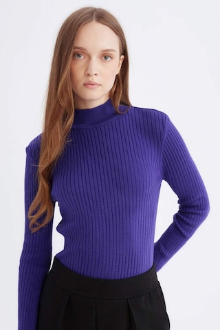 DeFacto Regular Fit Yarım Balıkçı Yaka Basic Düz Triko Kazak D9386AX24WNPR284 Mor