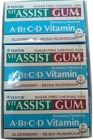 Vit-Assist Gum A,B1,C ve D Vitaminli Sakız