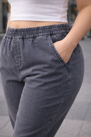 Cedy Denım - Büyük Beden Likralı, Beli Lastikli Jean Pantolon C636 Açık Gri