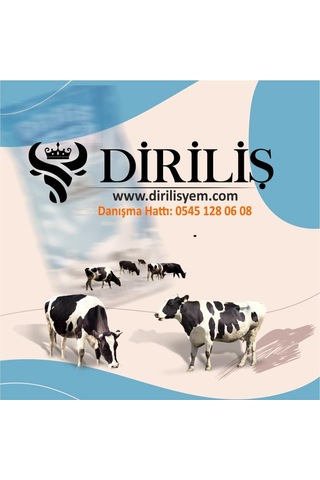 Diriliş Megapanzehir 25 Kg Yem Katkı Toksin Bağlayıcı