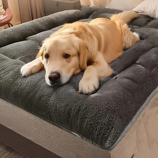Fochsia Büyük Yumuşak Köpek Yatağı Kedi Minderi Gri, Kalın Ve Konforlu Polyester Evcil Hayvan Pedi
