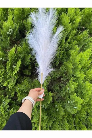 Beyaz Pampas Yapay Dal