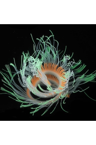 Sones Akvaryum Balık Tankı Peyzaj Dekorasyonu Silika Jel Simülasyon Yazılımı Mercan Floresan Anemon, Boyut: 50cm