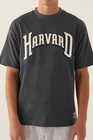 Harvard Erkek Tek Üst - Antrasit Antrasit