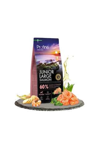 Profine Glutensiz Somonlu Büyük Irk Yavru Köpek Maması 12 Kg