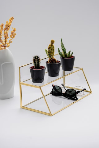 Organizer Cam Raflı Pirinç & Gold