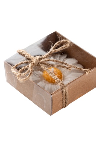 Kraft Kutulu Papatya Mum 10 Adet