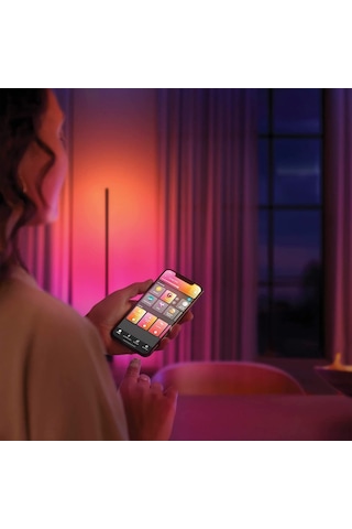 Philips Hue Gradient Signe Akıllı Led Zemin Işığı, Lambader, Siyah Genel