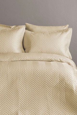 Simply Orchid Beige Pamuk Saten Nevresim Takımı Çift Kişilik Bej