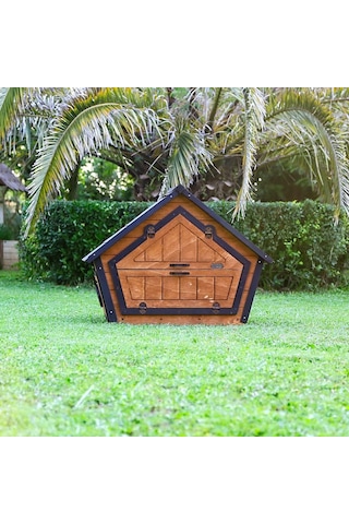 Ahşap Tavuk Kümesi 6 Tavuk Ve Güvercin Evi