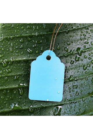 Pazly 16 Parça Bahçe Dikim Seti Bonsai Sukulent Nakil Mini Peri Bahçe El Aletleri Ev Ofis İçin