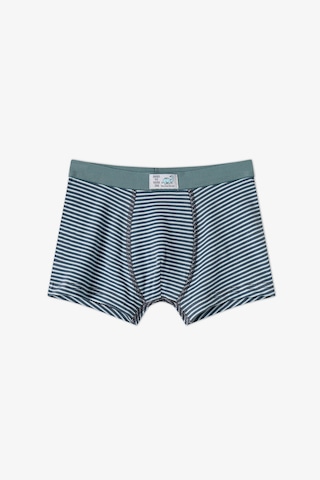Penti Erkek Çocuk Mavi Dino Dash Pamuklu 3lü Boxer