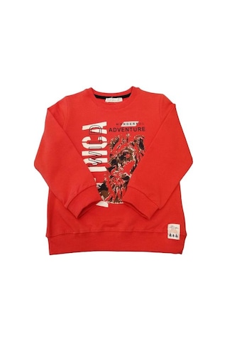 Nk Kids Erkek Çocuk Pamuklu Aslan Baskılı Sweatshirt-11226-mercan Mercan