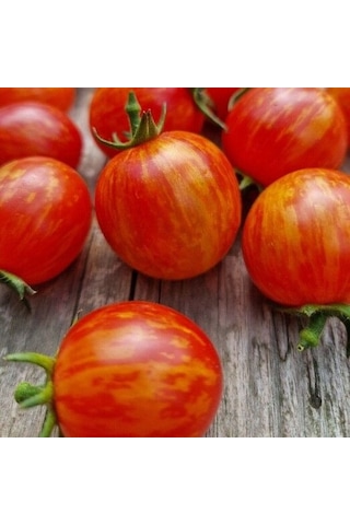 Süpernova Cherry Domates Tohumu 15 Tohum