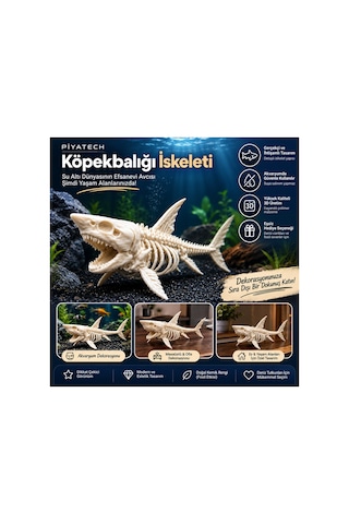 3d Köpekbalığı İskeleti Fosil Görünümlü Akvaryum Dekoru Ve Masaüstü Süs Figürü Kemik Rengi