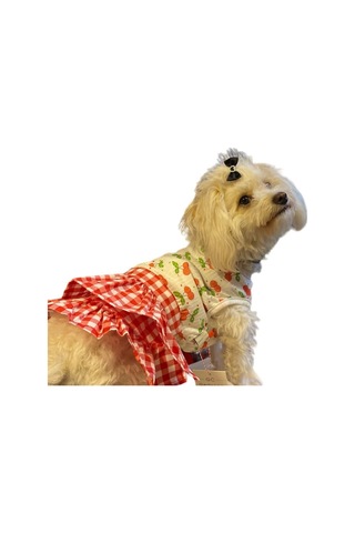 Gedyco Kirazlı Kareli Küçük Irk Köpek Elbisesi