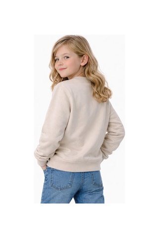 Kız Çocuk Sweatshirt Bgl-st05271 Taş