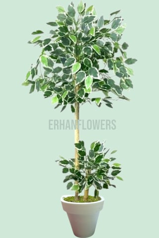130 Cm Ficus Yapay Ağaç Bambu 2 Gövdeli Beyaz Plastik Saksı Yeşil