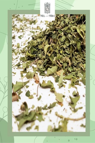 Premium Moringa Çayı 70g, Moringa Leafs, Moringa Oleifera