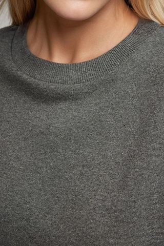 Hiccup Oversize Bisiklet Yaka Basic Sweatshirt Arduvaz Grisi