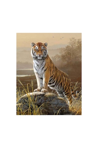 Majestik Kaplan Sticker Çerçevesiz 90x110 Sayılarla Boyama Hobi Seti