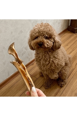 Kito Dana Kelle Derisi Yetişkin Köpek Ödül Maması 100 G