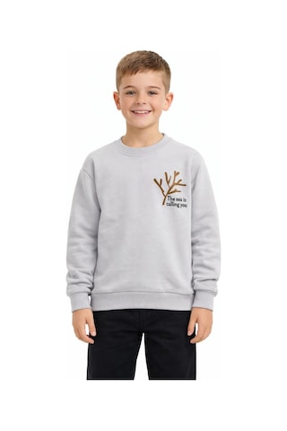 Baglan Erkek Çocuk Önü Baskılı Sweatshirt Bgl-st05238 Gri