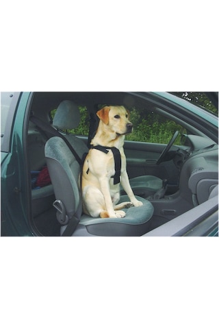 Beeztees Köpek Araç İçi Göğüs Tasması, Siyah, 40-65cm Göğüs Çapı, 15mm Siyah