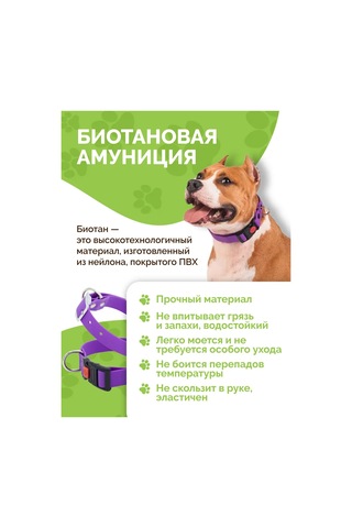 Ooo "firma Kaskad" Köpek Tasması 343182171 Violet