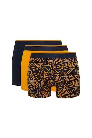 DeFacto Regular Fit Baskılı 3'lü Boxer T4929AZ24AUNV135