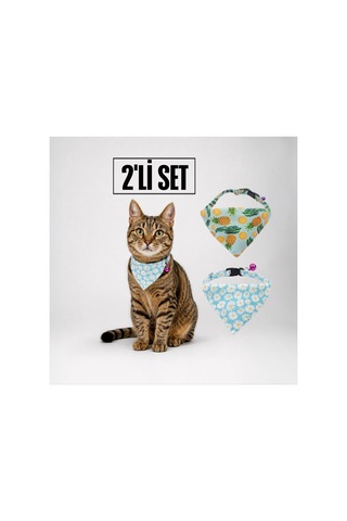 Desenli Bandana Kedi Tasması 2'li Set Ananas & Papatya