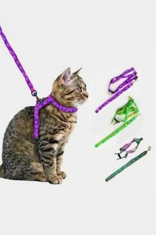 Thentech Yeni Nesil Kedi Tasması Dışarıda Gezdirmek İçin Rahat Kullanım Göğüs Tasması