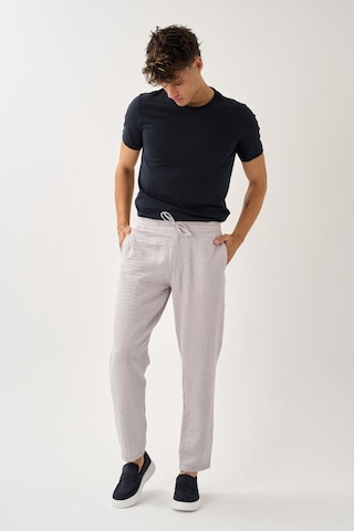 Alexandergardi Smart Casual Dokulu Pantolon Taş