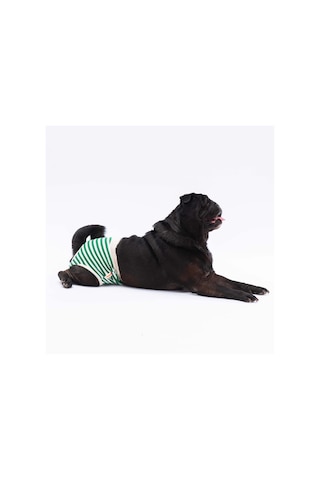 Yeşil Çizgili Kedi-köpek Çamaşırı Regl Kilodu Kedi-köpek Kıyafeti Green Striped Underwear