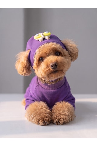 Violet Wings Köpek Bere Ve Tulum Kombini Mor Renk 3d Kelebek Aksesuarlı Penye Köpek Kıyafeti