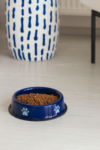 Emaye Kedi Köpek Mama Ve Su Kabı Pati Desen Night
