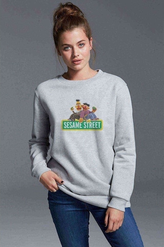 Susam Sokağı Baskılı Gri Kadın Sweatshirt (528296504)