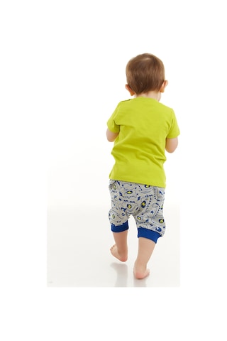 Denokids Super Dino Erkek Bebek T-shirt Kısa Pantolon Takım Çok Renkli