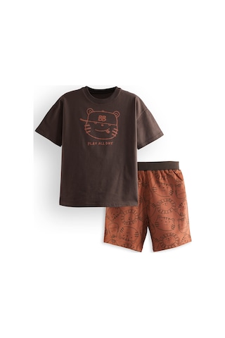 Denokids Play Erkek Çocuk Basic T-shirt Şort Takım Renkli Çok Renkli
