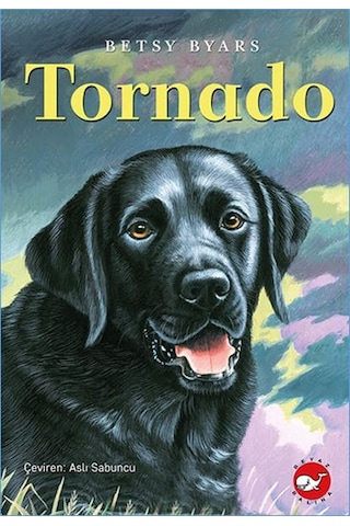 Tornado - Sptl-827718 Tornado - Sptl-827718