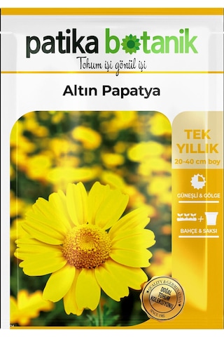 Patika Botanik 100 Adet Altın Papatya Tohumu Anthemis Tinctoria Kelwayii