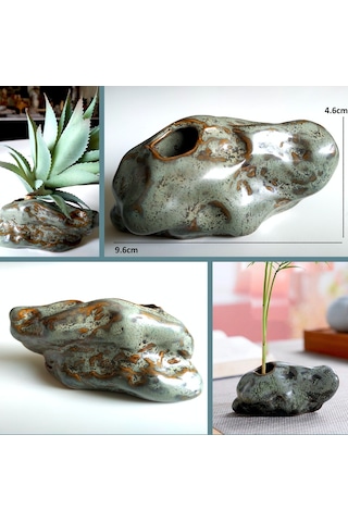 Omeniv Minyatür (Mame) Bonsai Kaktüs Sukulent Amorf Saksı