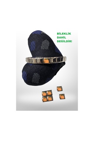 Capybara Kaplumbağalı İtalyan Bileklik Charmı 1 Adet Charm Kahverengi