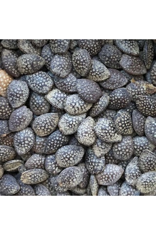 3 Adet Tropikal Çarkıfelek Meyvesi Tohumu