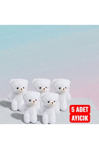 Hediye Kutusu Özel Hediye Paketi Ayıcık Ve Holografik Sonsuzluk Gülü Seti