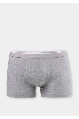 Colin's Colins Modern Fit Düz Erkek Gri Boxer Cl1075755 Q1.v2 Mga Gri Melanj