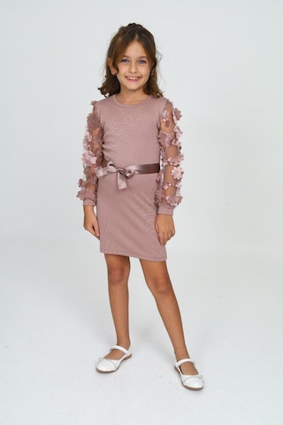 Belden Bağlamalı Tül Detaylı Çocuk Elbise Mykids Collection Pudra