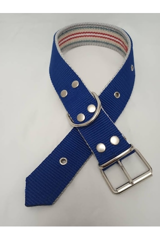 Kozaklı 10480 Büyük Irk Köpek Tasması Mavi 70 x 4 CM Mavi