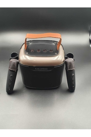 Bs-601 Bluetooth Wıreless Speaker & Karaoke Mıcrophones 13w - Siyah