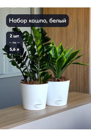 Interm Büyük Çiçek Saksısı, 5.6 L'den 2 Adet. 182711331